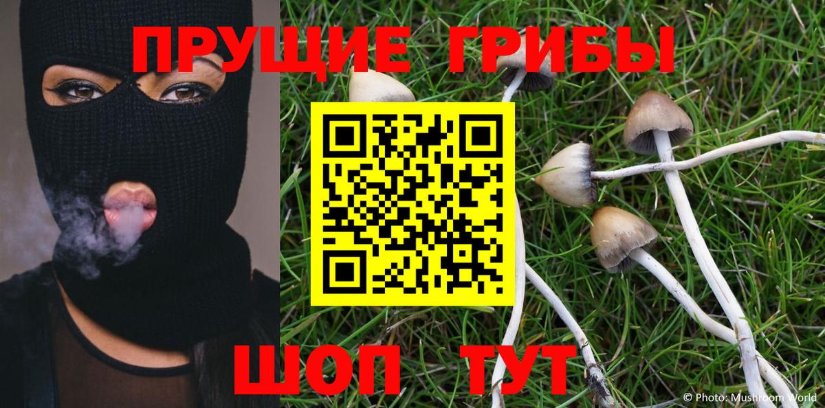 Псилоцибиновые грибы GOLDEN TEACHER  Вход с VPN  Прохладный  Псилоцибиновые грибы Magic Shrooms 